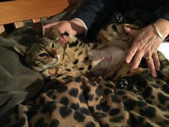 290E9D57-C276-48F1-9C9D-7BA629A9AB25.jpeg 290E9D57-C276-48F1-9C9D-7BA629A9AB25.jpeg