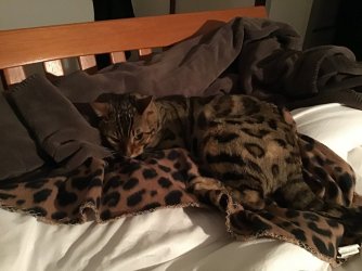 64F49B96-E0C6-4B37-BB6E-BCAC02C008EF.jpeg 64F49B96-E0C6-4B37-BB6E-BCAC02C008EF.jpeg