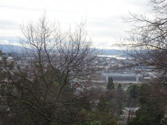 DSC05505.jpg DSC05505.jpg