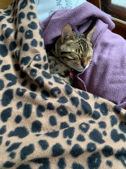 E13C5757-5C04-485A-BCBD-AD10B89EF5B3.jpeg E13C5757-5C04-485A-BCBD-AD10B89EF5B3.jpeg