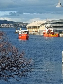 20210619_142424.jpg 20210619_142424.jpg