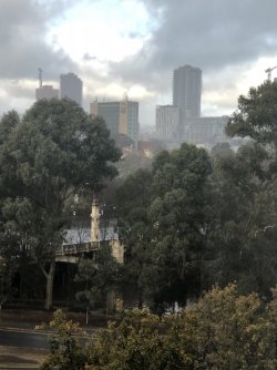 E5B8A51E-4F54-4F2C-9278-183C253B71DF.jpeg E5B8A51E-4F54-4F2C-9278-183C253B71DF.jpeg