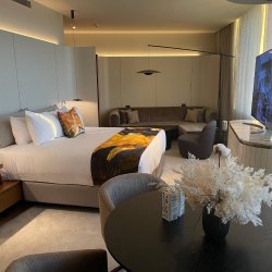 52068E2F-A0B4-4786-85DA-35E1E8E00E89.jpeg 52068E2F-A0B4-4786-85DA-35E1E8E00E89.jpeg