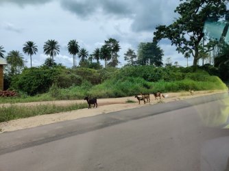 2021-06-12 13.58.35.jpg 2021-06-12 13.58.35.jpg