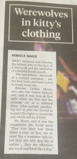 IMG_20210622_094251.jpg IMG_20210622_094251.jpg