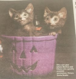 IMG_20210622_094340.jpg IMG_20210622_094340.jpg