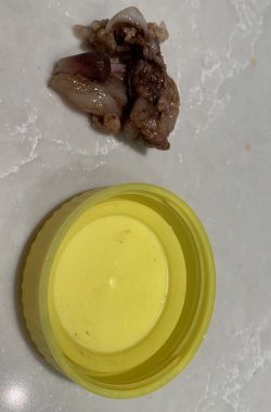 D4DEBFBB-4FF0-49B6-94AA-94CF63E7274A.jpeg D4DEBFBB-4FF0-49B6-94AA-94CF63E7274A.jpeg