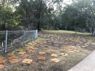 76D69473-7944-4EC7-9CFB-7EFCAA44C499.jpeg 76D69473-7944-4EC7-9CFB-7EFCAA44C499.jpeg