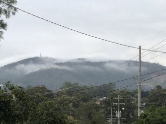 2D3EFA2D-ED14-4217-886A-00986C265ADF.jpeg 2D3EFA2D-ED14-4217-886A-00986C265ADF.jpeg