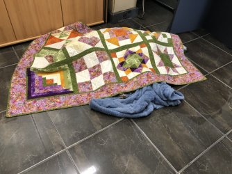 AD9E9E36-CAA2-4569-AFC6-3F06B25E7C47.jpeg AD9E9E36-CAA2-4569-AFC6-3F06B25E7C47.jpeg