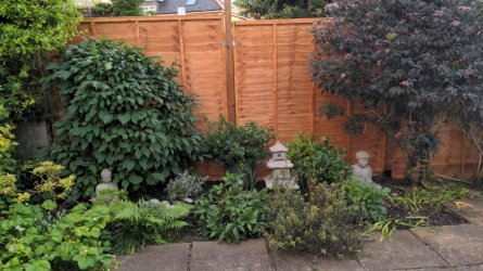 Fence.jpeg Fence.jpeg