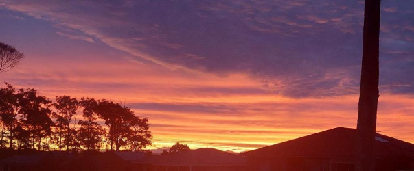 1624607299234.png 1624607299234.png