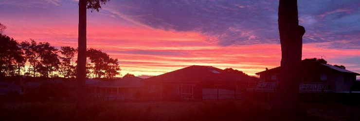 1624607371948.png 1624607371948.png