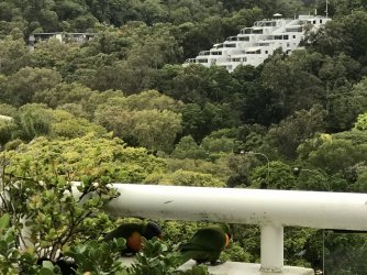 IMG_7531.JPG IMG_7531.JPG