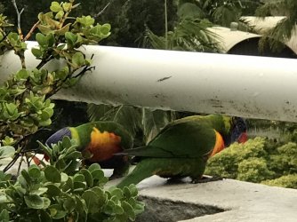 IMG_7532.JPG IMG_7532.JPG