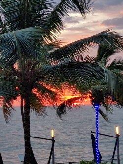 IMG_20210625_191637.jpg IMG_20210625_191637.jpg