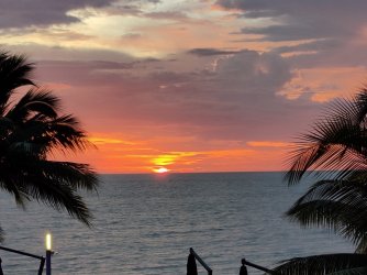 IMG_20210625_191710.jpg IMG_20210625_191710.jpg