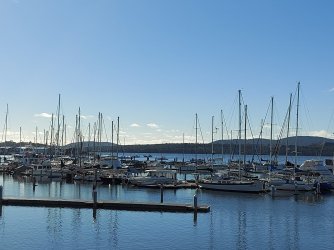 20210626_125031.jpg 20210626_125031.jpg