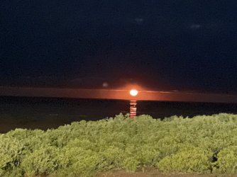 18797DBD-06DD-4448-85B2-6E723C8247D4.jpeg 18797DBD-06DD-4448-85B2-6E723C8247D4.jpeg