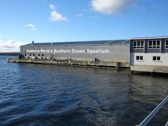 DSC05733.JPG DSC05733.JPG