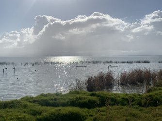 IMG_5936.jpg IMG_5936.jpg