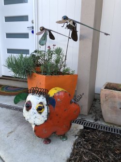 FD3998A4-7657-407A-BBFD-30E8A5DA26E5.jpeg FD3998A4-7657-407A-BBFD-30E8A5DA26E5.jpeg