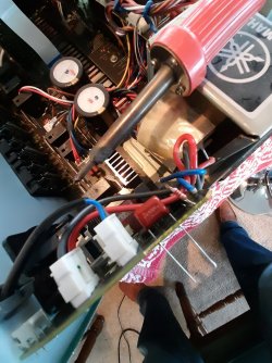 20210703_162001.jpg 20210703_162001.jpg