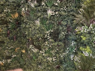 76B75344-4554-4B54-81FE-2AC63B7FBE7E.jpeg 76B75344-4554-4B54-81FE-2AC63B7FBE7E.jpeg