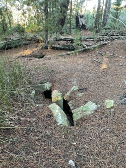 IMG_9093.JPG IMG_9093.JPG