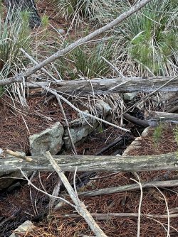 IMG_9096.JPG IMG_9096.JPG