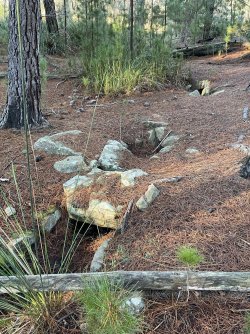 IMG_9100.JPG IMG_9100.JPG