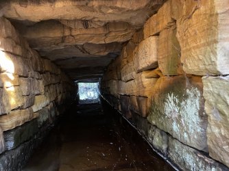 IMG_9129.JPG IMG_9129.JPG