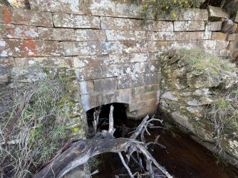 IMG_9142.JPG IMG_9142.JPG