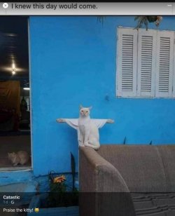 FullSizeRender (002).jpg FullSizeRender (002).jpg