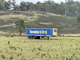 Betta 2.JPG Betta 2.JPG