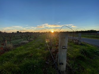 E9331421-B071-4CDE-B6A0-9286CB7A12E8.jpeg E9331421-B071-4CDE-B6A0-9286CB7A12E8.jpeg