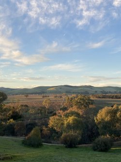 9FD43112-98A4-4191-92DA-8EED79722ABF.jpeg 9FD43112-98A4-4191-92DA-8EED79722ABF.jpeg