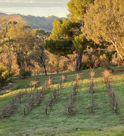 AB46BDE2-07C7-4F28-85B7-973A2EC8691A.jpeg AB46BDE2-07C7-4F28-85B7-973A2EC8691A.jpeg