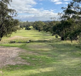 F1E2A00A-D3E0-4C41-896D-7531C3EF7437.jpeg F1E2A00A-D3E0-4C41-896D-7531C3EF7437.jpeg