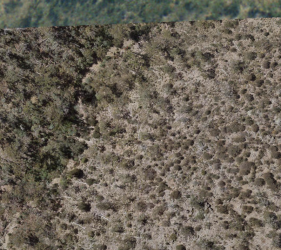 1626871816616.png 1626871816616.png