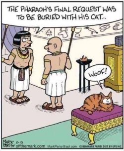 A1CC7DFE-6418-498D-8A03-1B21D2576A4C.jpeg A1CC7DFE-6418-498D-8A03-1B21D2576A4C.jpeg