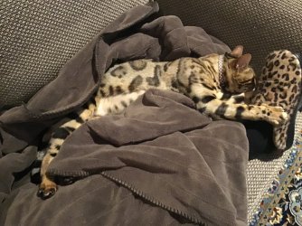 9E935BA2-F938-4693-9DBA-14008DECA277.jpeg 9E935BA2-F938-4693-9DBA-14008DECA277.jpeg