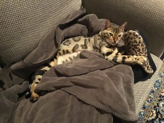 E2BD3C31-1DBE-4F4F-8F2C-3982A7277556.jpeg E2BD3C31-1DBE-4F4F-8F2C-3982A7277556.jpeg