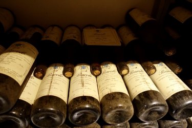 D5A6D83B-CAFC-460D-84B6-6634A9737A97.jpeg D5A6D83B-CAFC-460D-84B6-6634A9737A97.jpeg