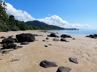 1627798763246.png 1627798763246.png