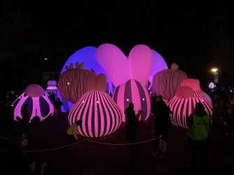 IMG_0086.jpg IMG_0086.jpg