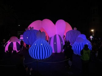 IMG_0087.jpg IMG_0087.jpg