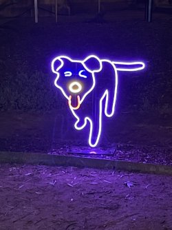 IMG_0090.jpg IMG_0090.jpg