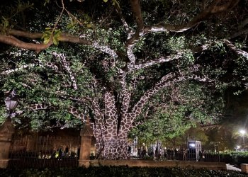 IMG_0094.jpg IMG_0094.jpg