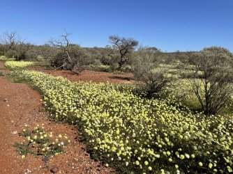 4E359509-C102-4E1F-B6BE-1DB0E8334131.jpeg 4E359509-C102-4E1F-B6BE-1DB0E8334131.jpeg